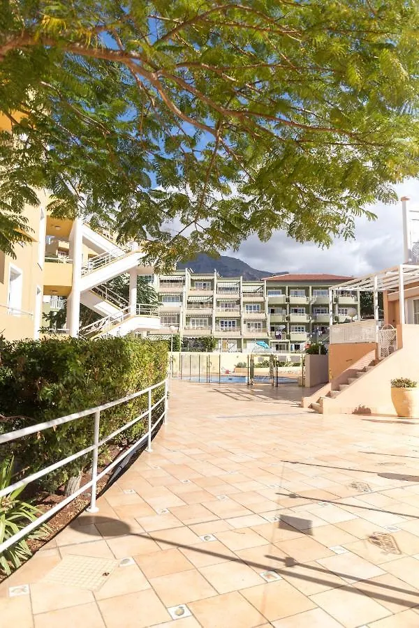 Apartment Orlando Tenerife Sur Bamby And Daisy And Mikey Costa Adeje  Spain